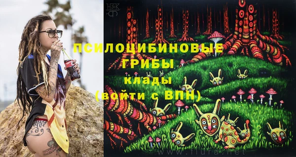 гидропоника Алексеевка